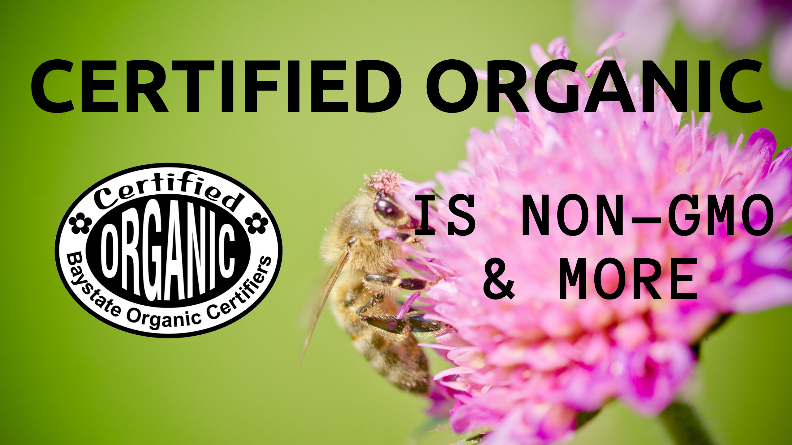 baystate-organic-certifiers-usda-accredited-certifying-agent