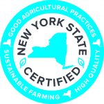 nys_certified-seal-blue